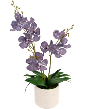 La Ascocenda artificial violeta de 50 cm tiene dos tallos de flores de orquídeas moteadas de color violeta con hojas verdes en una maceta blanca, sobre un fondo blanco liso.