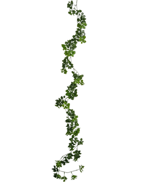 La enredadera artificial Gardenia de 157 cm tiene una enredadera única y larga de color verde con hojas pequeñas que cuelga verticalmente sobre un fondo blanco liso.