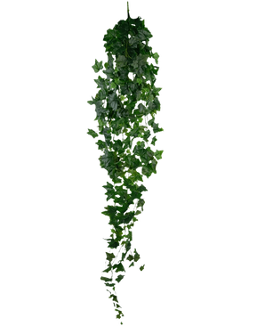 La hiedra artificial verde de 180 cm es una hiedra artificial de color verde con hojas densas y puntiagudas que cuelga verticalmente sobre un fondo blanco liso.