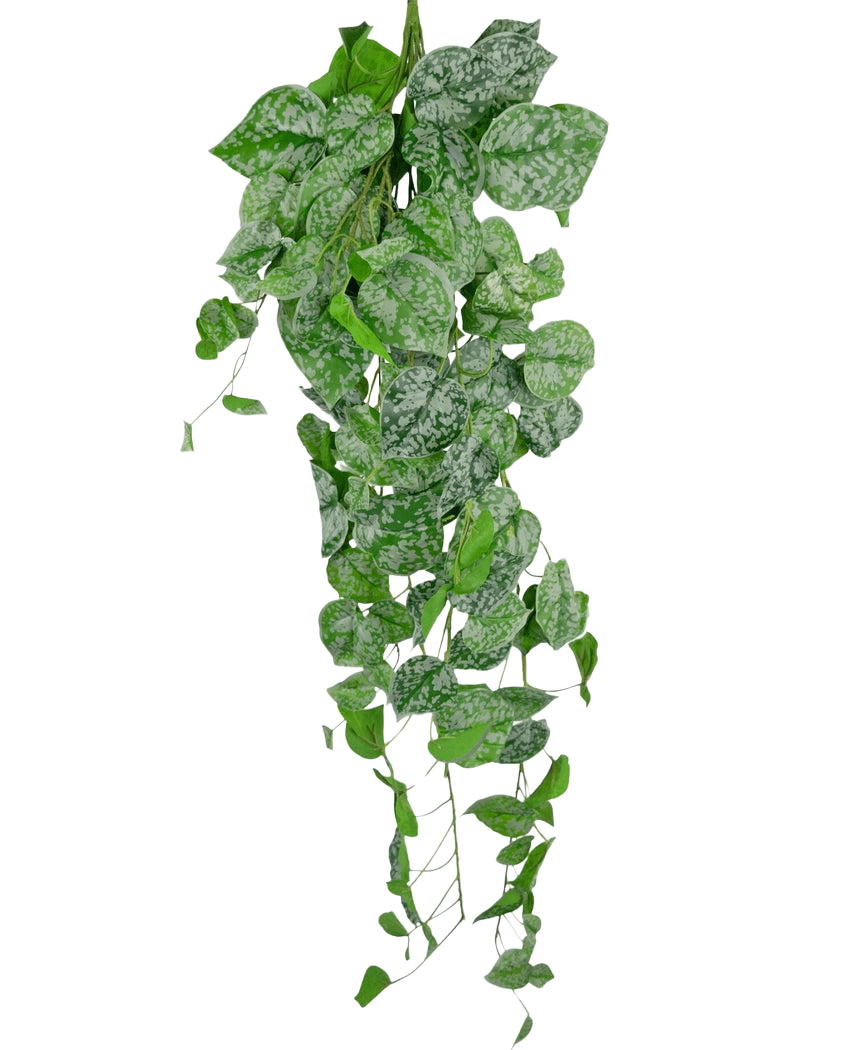 La Planta Colgante Artificial Scindapsus 90 cm es una planta trepadora colgante con hojas verdes en forma de corazón decoradas con motas de color blanco plateado, que caen sobre un fondo blanco liso.