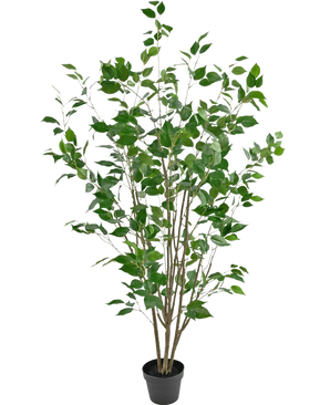 La Planta Artificial Ficus 150 cm es un árbol artificial en una maceta con múltiples troncos esbeltos de color marrón y exuberantes hojas verdes sobre un fondo blanco liso.