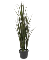 El Césped Artificial Burdeos UV 90 cm es un césped ornamental alto, verde, con hojas largas y delgadas, en una maceta de plástico negra, sobre un fondo blanco liso.
