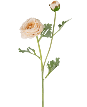 El Ranunculus Artificial Real Touch Crème de 60 cm tiene un único tallo de ranúnculo de color melocotón con pétalos en capas, un cogollo cerrado más pequeño y hojas lobuladas de color verde, todo ello bellamente detallado y aislado sobre un fondo blanco.