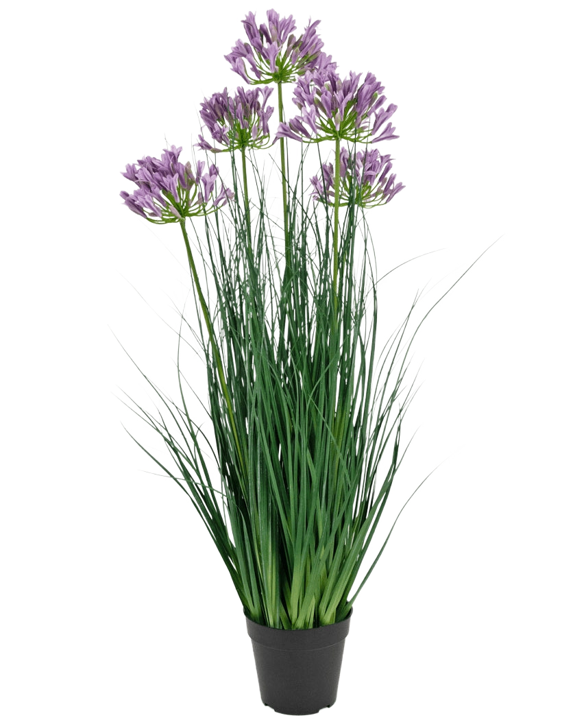 La maceta de césped artificial Agapanthus Onion Grass de color morado es una planta artificial ignífuga de 90 cm de altura con largas hojas verdes y racimos de flores de color violeta, expuestas en una maceta negra lisa sobre un fondo blanco.