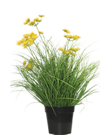 La planta de césped artificial Asteraceae ignífuga de 50 cm tiene hojas verdes largas y delgadas y pequeñas flores amarillas en una maceta negra, lo que proporciona una apariencia verde: el césped artificial perfecto para el hogar sobre un fondo blanco liso.