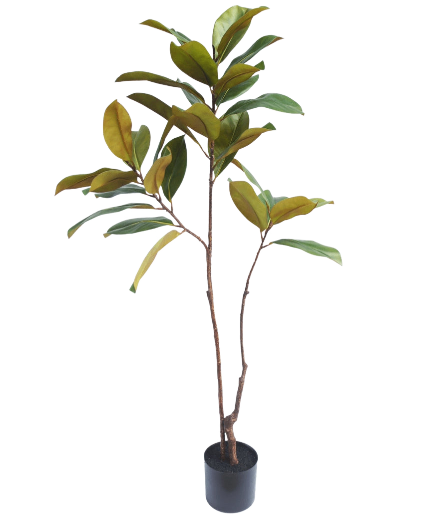 El árbol artificial Yulania de 120 cm tiene esbeltos tallos marrones y hojas anchas de color amarillo verdoso, que parecen realistas y realzan cualquier habitación sobre un fondo blanco liso.
