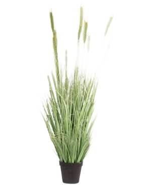Planta de Césped Artificial Verde ignífugo de 160 cm tiene hojas largas y delgadas y cabezas de semillas en una pequeña maceta negra. Ideal como planta artificial elegante e ignífuga para cualquier habitación.