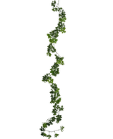 La enredadera artificial Gardenia de 157 cm tiene una enredadera única y larga de color verde con hojas pequeñas que cuelga verticalmente sobre un fondo blanco liso.