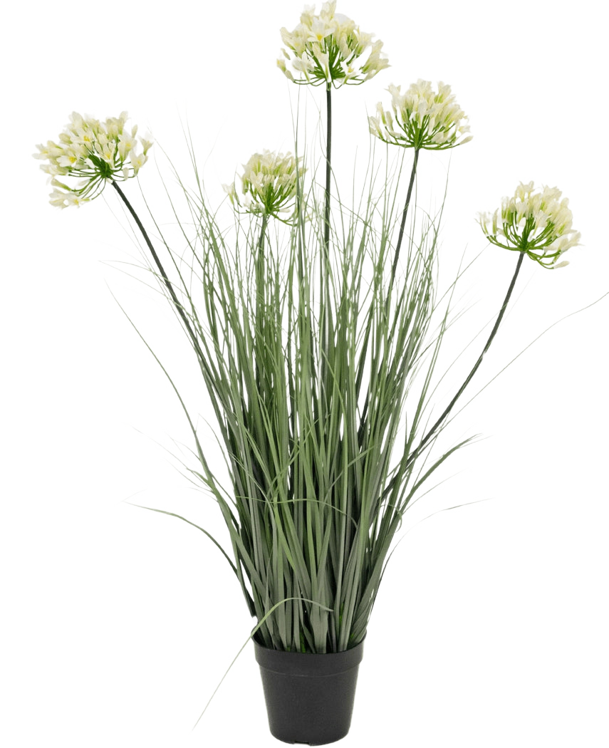 El Césped Artificial Agapanthus Blanco Cebolla Maceta 90cm Ignífugo es una planta artificial en maceta con hojas altas de color verde y seis racimos de pequeñas flores de color amarillo claro sobre tallos largos, sobre un fondo liso blanco.