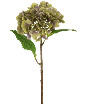 La Hortensia Artificial Deluxe 55 cm verde/morado tiene un único tallo de hortensia artificial con pétalos verdes y morados y dos hojas verdes sobre un fondo blanco liso.