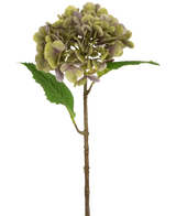 La Hortensia Artificial Deluxe 55 cm verde/morado tiene un único tallo de hortensia artificial con pétalos verdes y morados y dos hojas verdes sobre un fondo blanco liso.