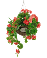 La Begonia Artificial Rosa en Cesta UV 70 cm es una cesta de mimbre colgante con exuberantes hojas verdes y vibrantes flores de begonia rosa coral, suspendidas de una cadena plateada sobre un fondo blanco.