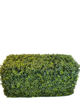 El Seto Artificial Boj Estilo Romano (90 x 35 x 50 cm) es un seto verde denso, rectangular, con hojas pequeñas, aislado sobre un fondo blanco.