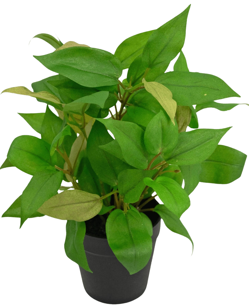 La planta artificial "House Wanderer" en maceta de 25 cm tiene hojas verdes vibrantes en una sencilla maceta negra, sobre un fondo blanco liso.