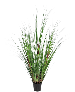 La Planta de Césped Artificial Cebolla ignífuga de 120 cm tiene hojas largas y delgadas de color verde con toques de color marrón rojizo, presentadas en una maceta sobre un fondo liso blanco.