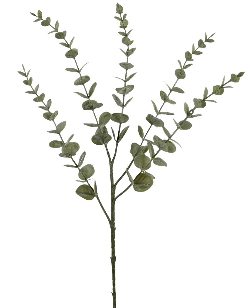 La flor artificial Eucalipto Yugali de 71 cm es un único tallo artificial con cinco ramas ramificadas y pequeñas hojas verdes redondas, representadas aisladas sobre un fondo blanco.