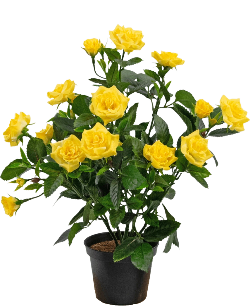 La Planta Artificial Mini Rose UV 35 cm amarilla es una planta artificial en maceta con múltiples tallos de vibrantes rosas amarillas y hojas verdes, expuestas en un pequeño recipiente negro sobre un fondo sencillo.