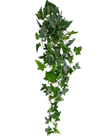 La planta colgante artificial Ivy Boston 100 cm verde tiene hojas puntiagudas de un verde exuberante en tallos largos y delgados, creando un efecto realista de hiedra sobre un fondo blanco liso.