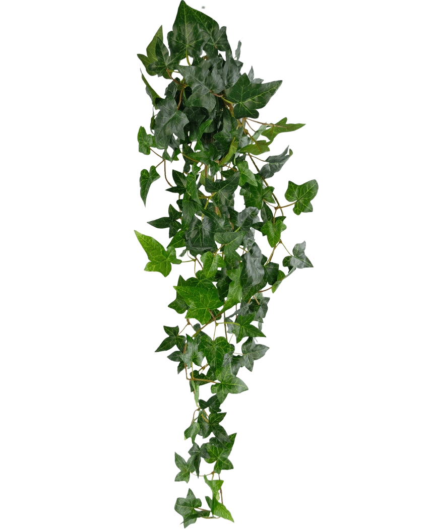 La planta colgante artificial Ivy Boston 100 cm verde tiene hojas puntiagudas de un verde exuberante en tallos largos y delgados, creando un efecto realista de hiedra sobre un fondo blanco liso.
