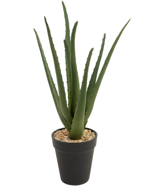 La Planta Artificial Aloe Vera de 33 cm tiene hojas largas y tenues de color verde que crecen hacia arriba, en pequeñas piedras en una elegante maceta negra, sobre un fondo blanco.