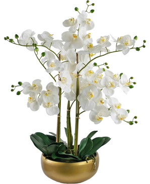 La Orquídea Artificial Real Touch 50 cm blanca tiene orquídeas blancas realistas con corazones amarillos y capullos verdes, todas ellas dispuestas con hojas verdes en una elegante maceta dorada.