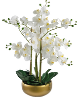 La Orquídea Artificial Real Touch 50 cm blanca tiene orquídeas blancas realistas con corazones amarillos y capullos verdes, todas ellas dispuestas con hojas verdes en una elegante maceta dorada.