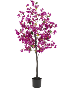 La buganvilla artificial de 150 cm color morado tiene un tallo alto y esbelto con vibrantes flores de color violeta y hojas verdes, en una sencilla maceta negra sobre un fondo blanco.