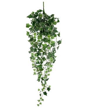 La hiedra artificial 70 cm verde/blanco es una planta de hiedra artificial colgante con exuberantes hojas verdes y blancas en cascada sobre tallos largos, sobre un fondo blanco liso.