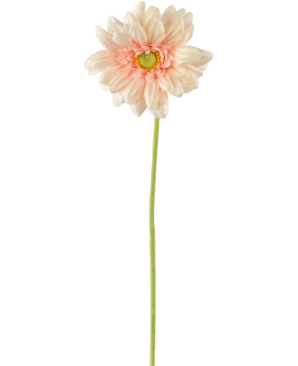La Flor Artificial Gerbera mini 47 cm rosa suave es una margarita artificial de color rosa claro con pétalos suaves en capas y un corazón amarillo sobre un largo tallo verde, sobre un fondo blanco liso.