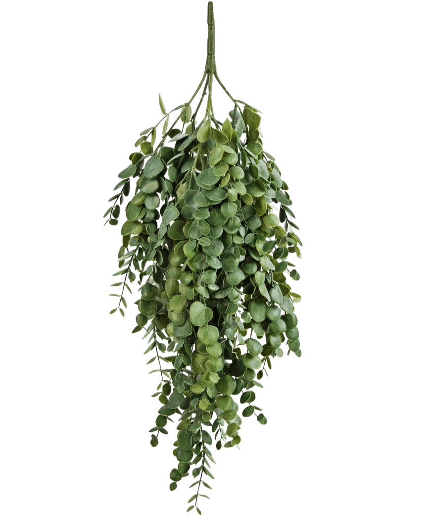 La Planta Artificial Colgante Eucalipto de 76 cm tiene densas hojas de eucalipto artificiales en cascada con formas redondas y ovaladas, perfectas para añadir vegetación a cualquier espacio.