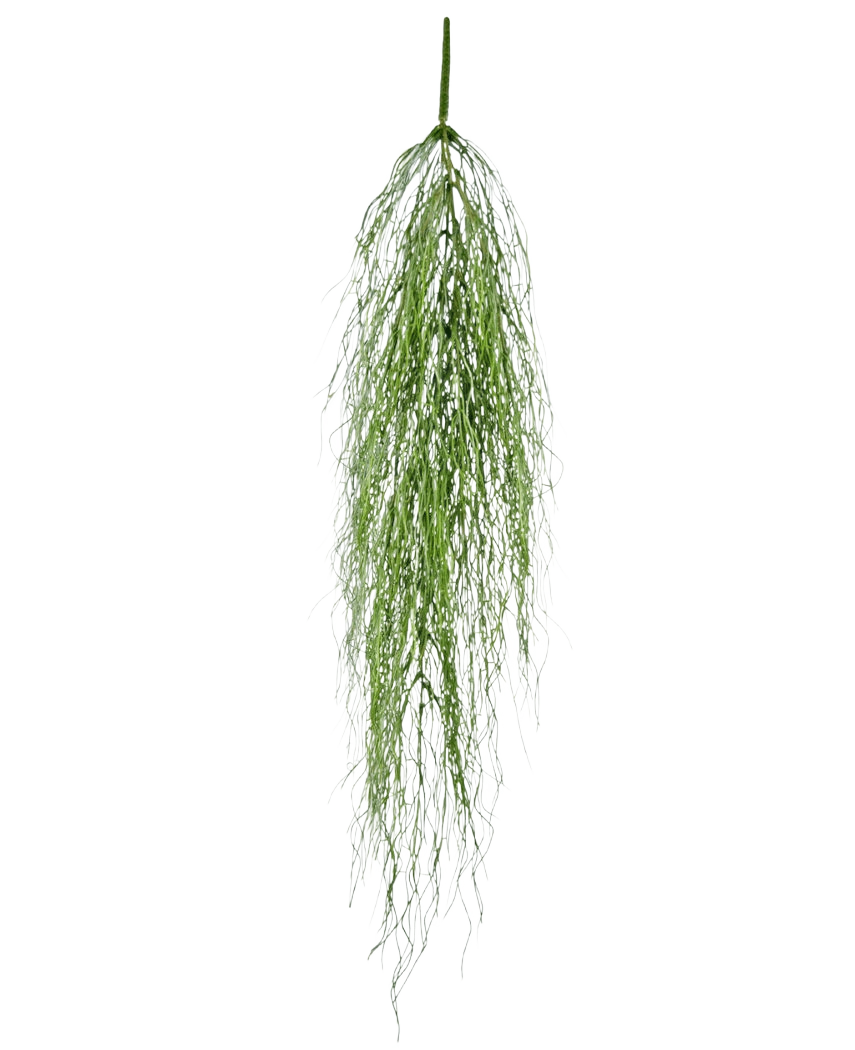 La planta colgante artificial Kelp Grass de 91 cm tiene un único tallo de follaje artificial verde esponjoso con hojas largas y delgadas que caen con gracia sobre un fondo blanco liso.
