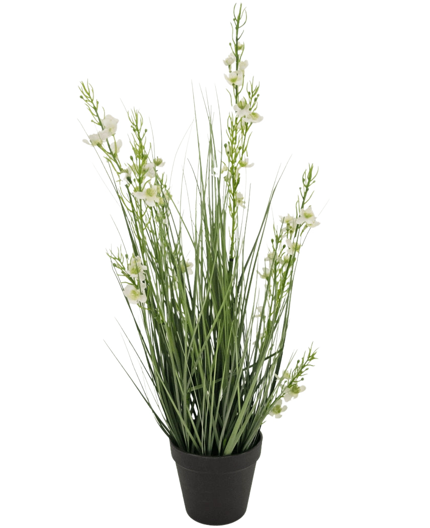 La maceta de césped artificial Mijo Cebolla ignífuga de 65 cm tiene hojas altas y delgadas de color verde similar a la hierba y varios tallos con pequeñas flores blancas en una maceta negra, sobre un fondo blanco liso.