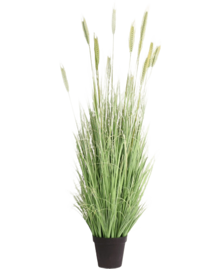 La Planta de Césped Artificial Verde ignífugo de 180 cm tiene hojas verdes largas y delgadas y espigas parecidas al trigo en una maceta negra, ideal para una decoración interior elegante y mayor seguridad.