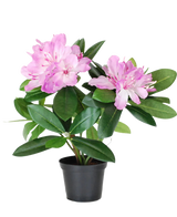 La Planta Artificial Rododendro de 34 cm tiene hojas de un verde vibrante y ramos de flores de color rosa claro en una pequeña maceta negra, sobre un fondo blanco liso.