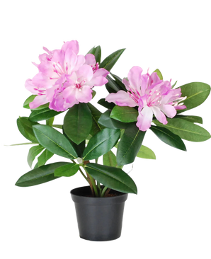 La Planta Artificial Rododendro de 34 cm tiene hojas de un verde vibrante y ramos de flores de color rosa claro en una pequeña maceta negra, sobre un fondo blanco liso.