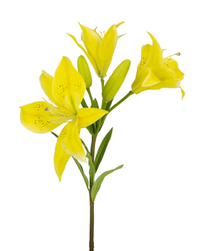 La flor artificial Lirio asiático de 66 cm amarillo tiene un tallo con múltiples lirios amarillos y capullos sin abrir, pétalos puntiagudos con motas oscuras en el centro y hojas verdes, todo ello sobre un fondo blanco.