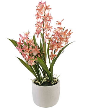 La planta Artificial Cymbidium rosa de 58 cm tiene hojas altas de color verde y racimos de flores de orquídeas rosas y blancas, dispuestas en una sencilla maceta de cerámica blanca, perfecta para alegrar cualquier espacio.