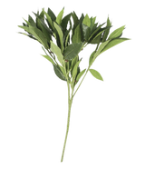 La Hoja de Laurel Artificial de 50 cm verde tiene múltiples tallos con hojas puntiagudas, bellamente detalladas y artísticas, presentadas de forma aislada sobre un fondo blanco liso.