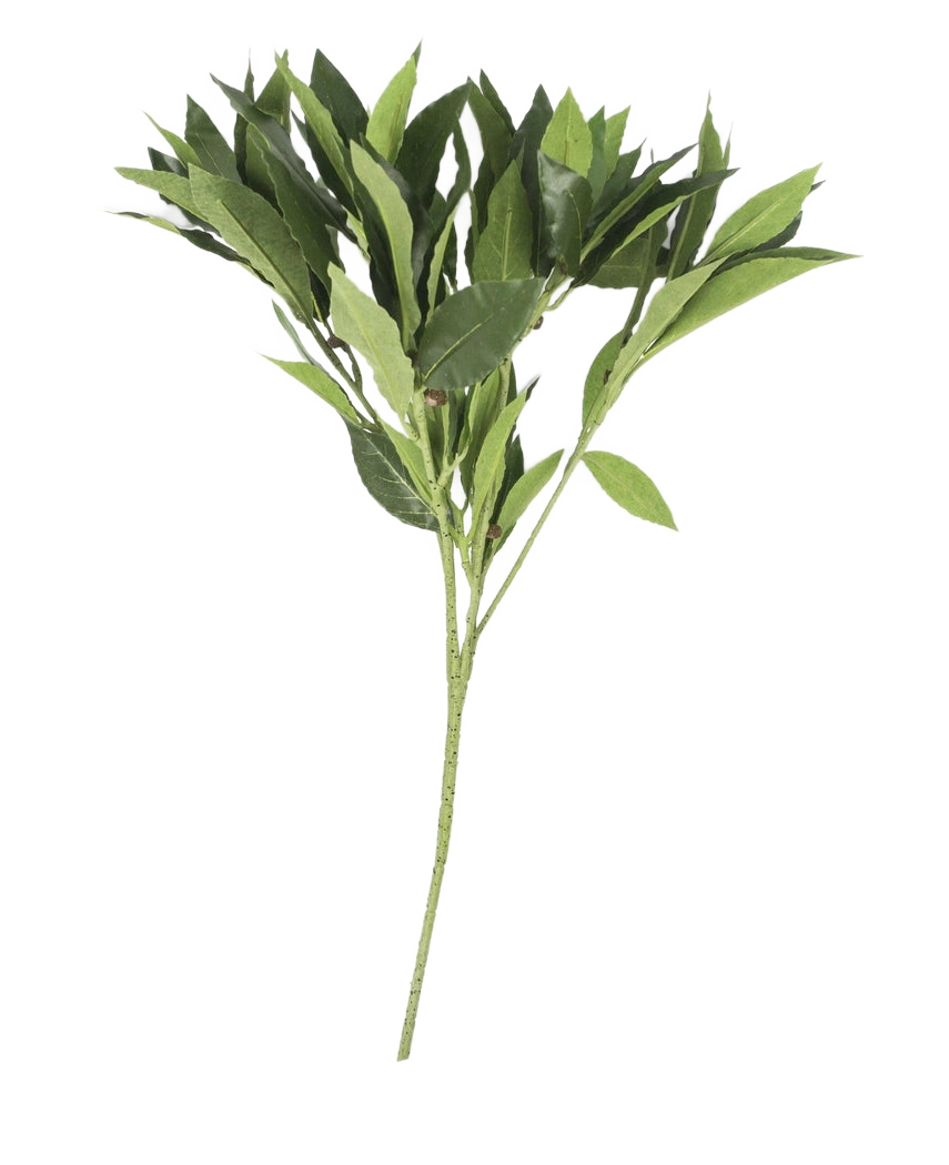 La Hoja de Laurel Artificial de 50 cm verde tiene múltiples tallos con hojas puntiagudas, bellamente detalladas y artísticas, presentadas de forma aislada sobre un fondo blanco liso.