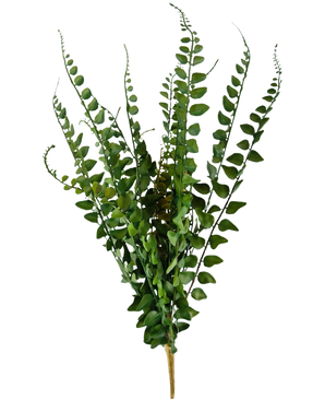El helecho artificial Stitch de 48 cm tiene ramas de helecho artificiales con tallos largos y delgados y hojas finamente detalladas, que se alzan sobre un fondo blanco liso.