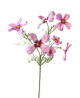 La flor artificial Cosmos de 74 cm rosa tiene un solo tallo con múltiples flores cosmos de color rosa claro y delicadas hojas verdes, bellamente expuestas sobre un fondo blanco.