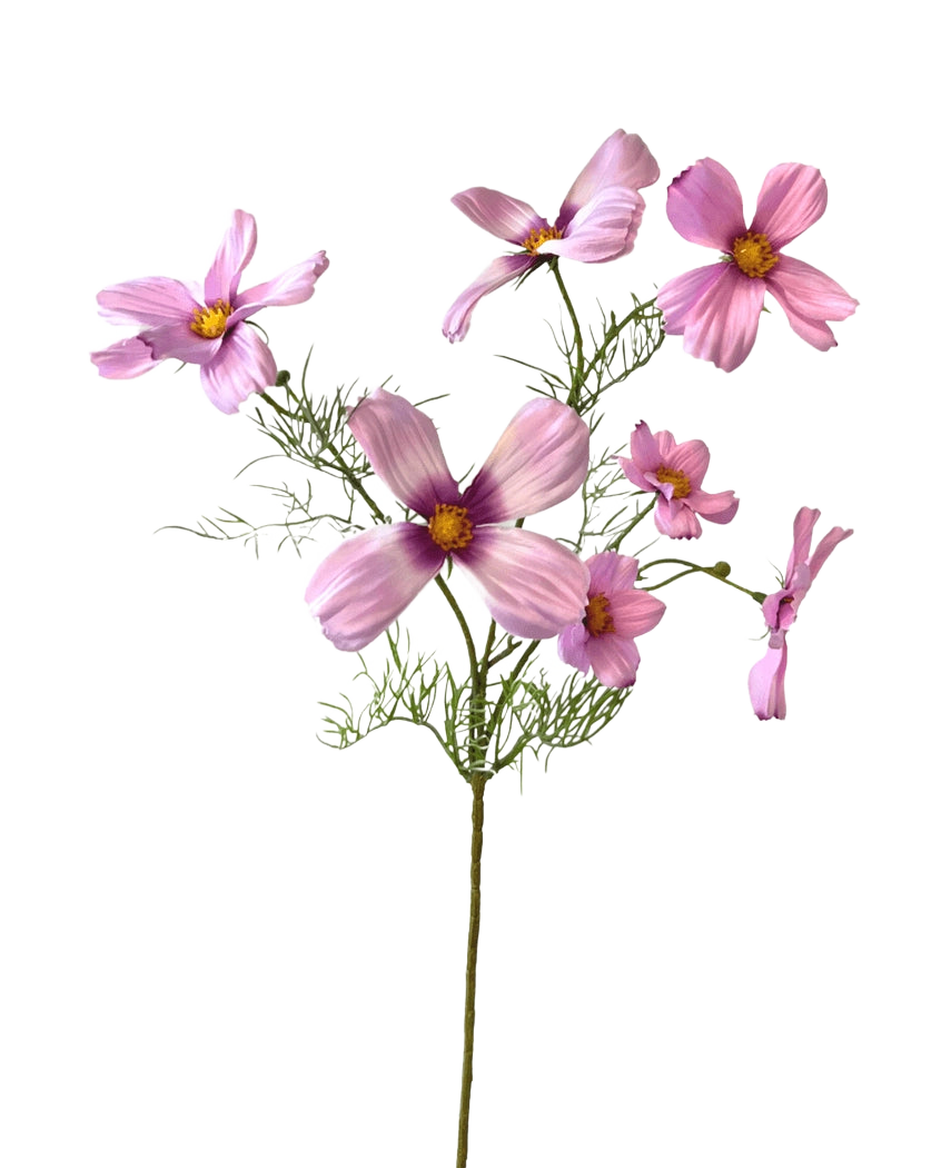 La flor artificial Cosmos de 74 cm rosa tiene un solo tallo con múltiples flores cosmos de color rosa claro y delicadas hojas verdes, bellamente expuestas sobre un fondo blanco.