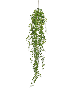 La Planta Artificial Colgante Pumila de 100 cm tiene una enredadera larga y sinuosa con pequeñas hojas verdes redondas que cuelgan de un solo tallo, sobre un fondo blanco liso.
