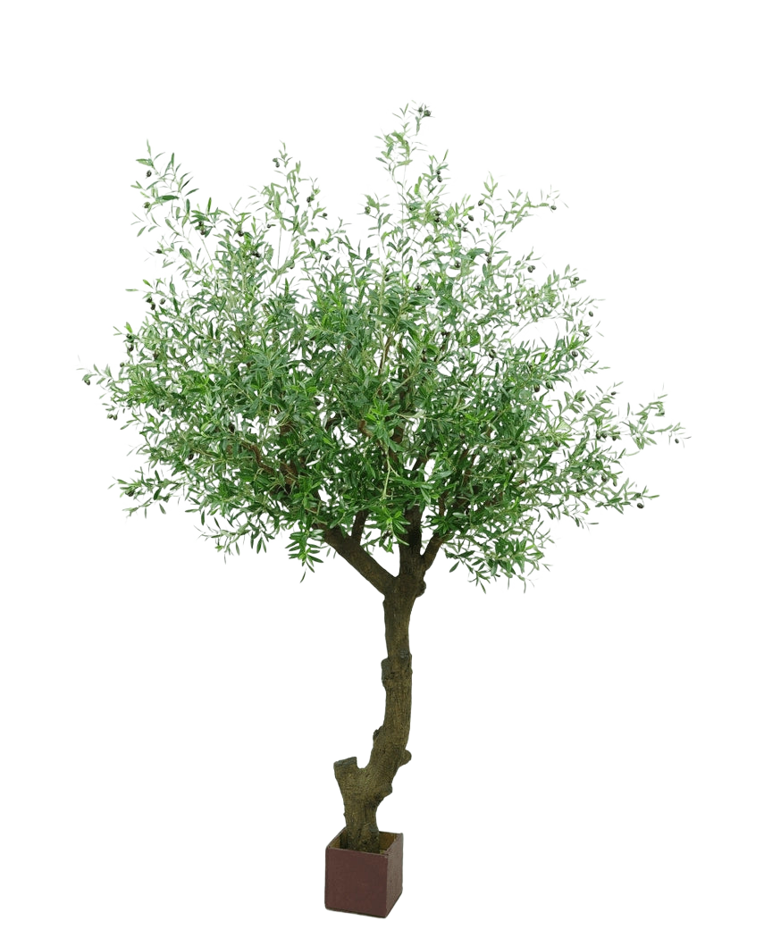 El olivo artificial con aceitunas de 270 cm tiene un tronco retorcido y densas hojas verdes y se encuentra en una pequeña maceta cuadrada de color marrón sobre un fondo blanco.