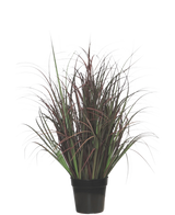 La planta de césped artificial silvestre de 70 cm, ignífuga, tiene hojas estrechas de color verde oscuro y rojo violeta en una maceta negra, perfecta como planta sin mantenimiento para cualquier interior.