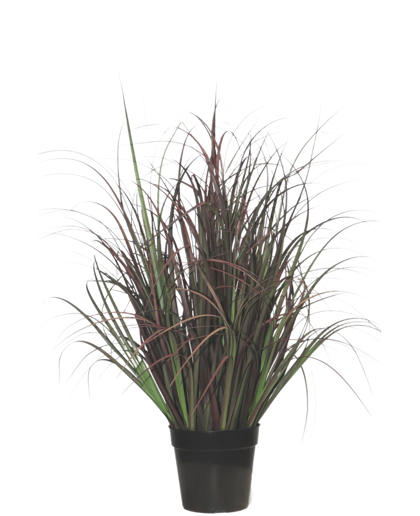 La planta de césped artificial silvestre de 70 cm, ignífuga, tiene hojas estrechas de color verde oscuro y rojo violeta en una maceta negra, perfecta como planta sin mantenimiento para cualquier interior.