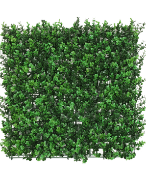 El seto artificial Boj verde 50x50 cm UV es un panel cuadrado con densas hojas artificiales de boj verde, que crean un seto exuberante, visto desde arriba sobre un fondo blanco.