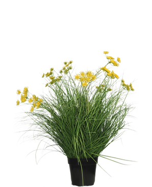 La planta de césped artificial Asteraceae ignífuga de 70 cm tiene hojas verdes largas y delgadas y racimos de pequeñas flores amarillas en una maceta negra. Es una planta de césped artificial de bajo mantenimiento sobre un fondo blanco liso.