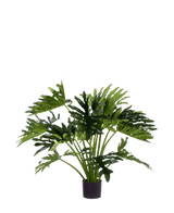 La Planta Artificial Filodendro UV 90 cm tiene hojas verdes grandes y profundamente lobuladas en una maceta, perfecta como planta de interior de bajo mantenimiento para añadir vegetación al interior. Sobre un fondo blanco da un estilo natural sin mantenimiento.