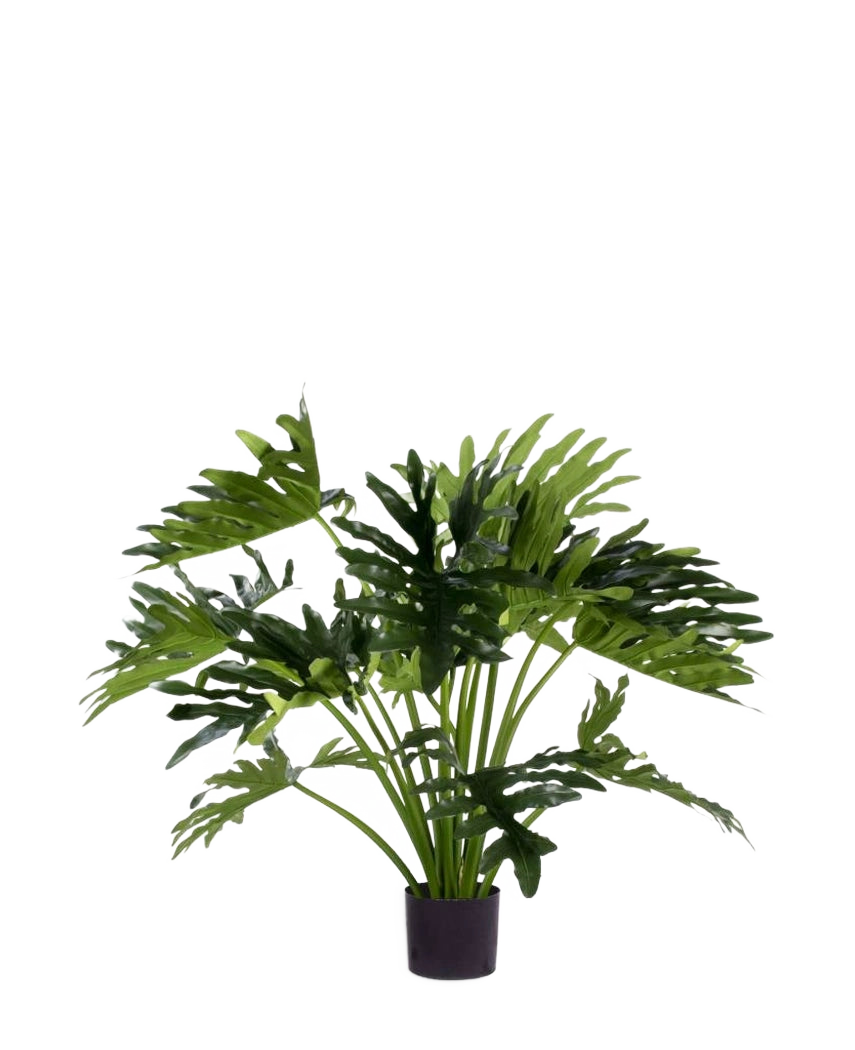 La Planta Artificial Filodendro UV 90 cm tiene hojas verdes grandes y profundamente lobuladas en una maceta, perfecta como planta de interior de bajo mantenimiento para añadir vegetación al interior. Sobre un fondo blanco da un estilo natural sin mantenimiento.
